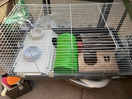 Photo of free Guinea pig cage and accessories (woking) #1