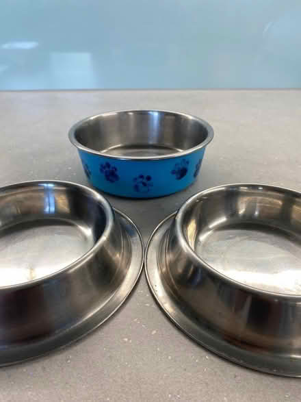 Photo of free Cat/ small pet feed bowls (Manningtree CO11) #1