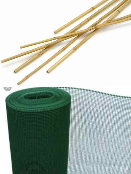 Photo of Garden canes and netting (Taunton Killams & Mountfield District Ward TA1) #1