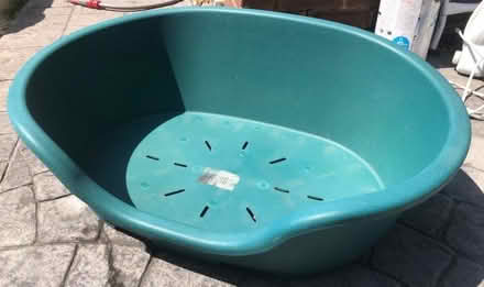 Photo of free Plastic dog bed (Rise Park NG5) #1