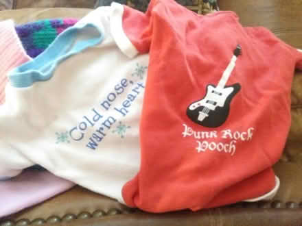 Photo of free GIFT -- various items (22408) #3