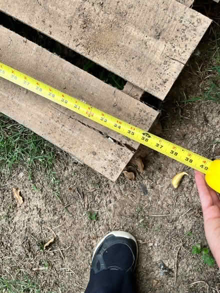Photo of free Wood platform (Silver Spring) #3
