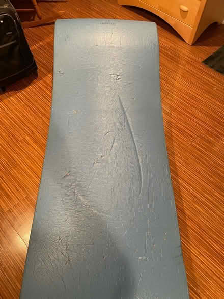 Photo of free Swimming Pool Floats (Andover) #3