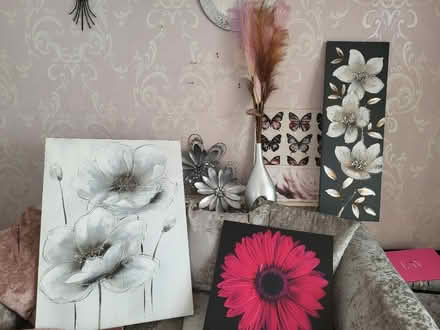 Photo of free Wall canvases (Rivenhall CM8) #3