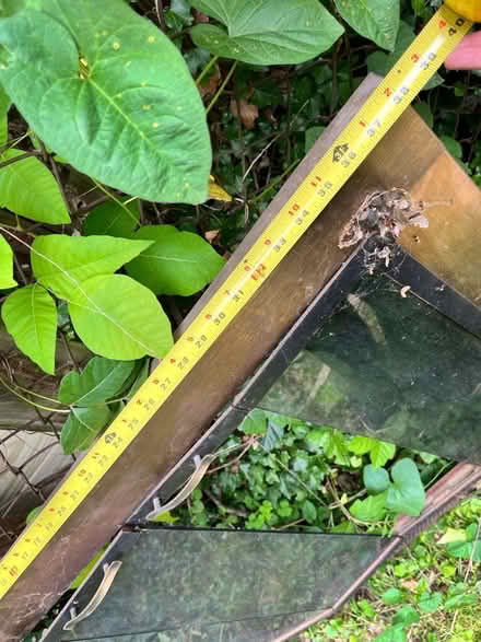 Photo of free Wooden horses (Silver Spring) #4