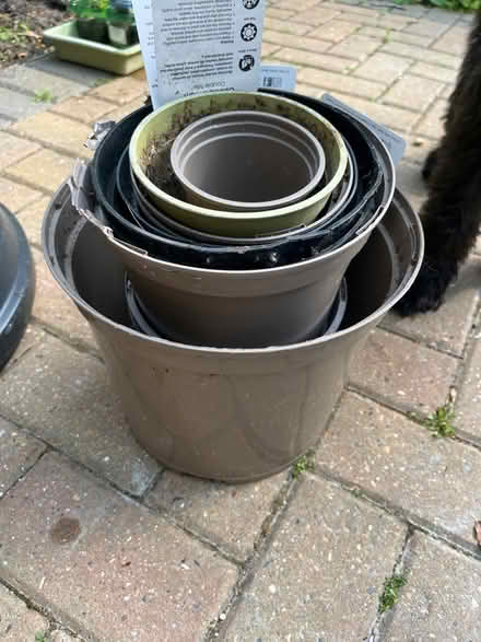 Photo of free Plant pots (woking) #1