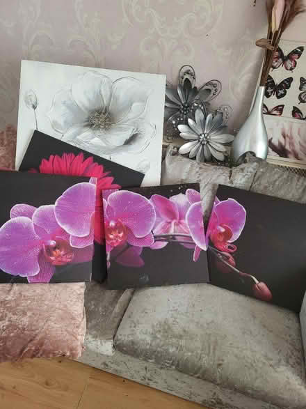 Photo of free Wall canvases (Rivenhall CM8) #1