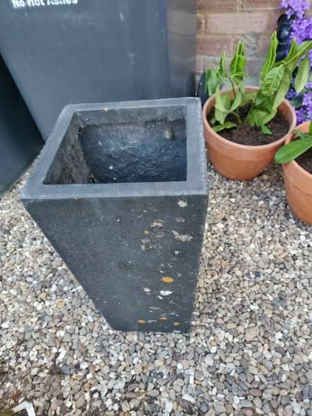 Photo of free Planter (LU2, Luton) #3