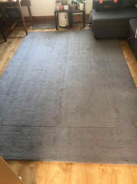 Photo of free Rug (Rise Park NG5) #1