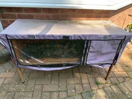 Photo of free Used Guinea pig cage (Bilton, Rugby) #1