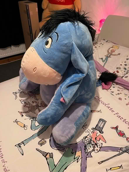 Photo of free Large Disney Eeyore stuffed toy (Lode, CB25 NorthEast Cambridge) #4