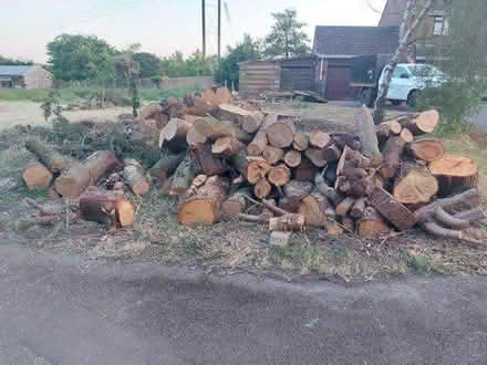 Photo of free Softwood logs (Easterton SN10) #1