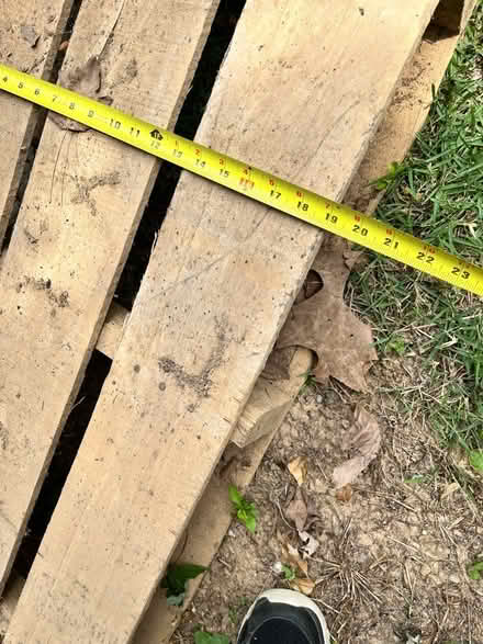 Photo of free Wood platform (Silver Spring) #1