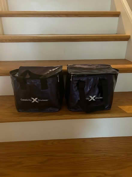 Photo of free lunch travel coolers (Pine Hills) #1