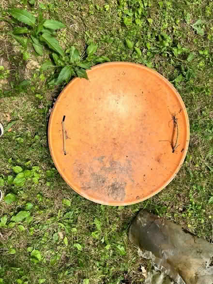 Photo of free Children’s basic sled (Silver Spring) #1