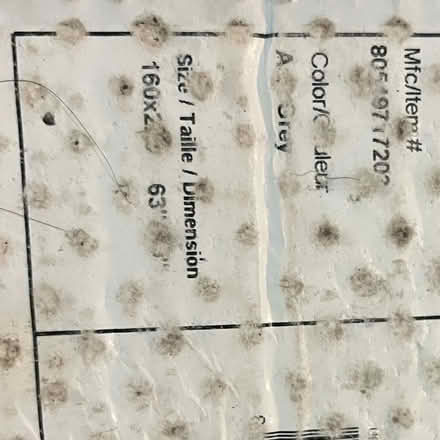 Photo of free Art deco grey carpet (Austin Heights) #3