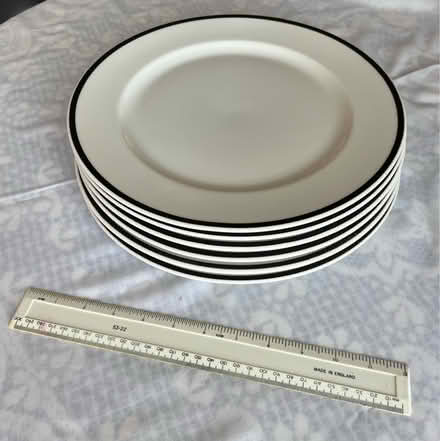 Photo of free 6 LARGE Charger Plates (Fareham PO15) #2