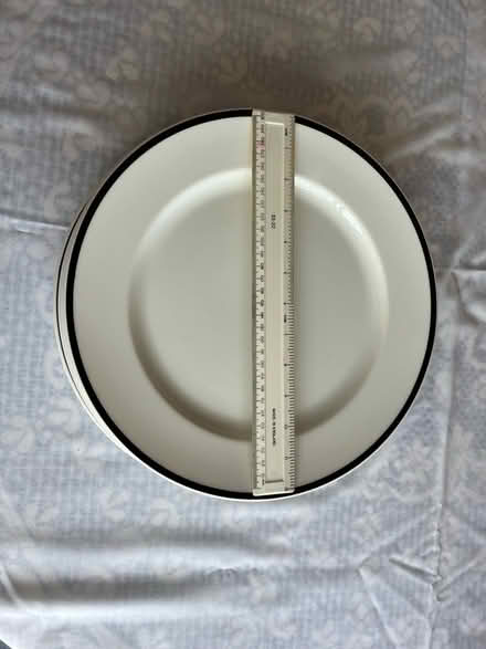 Photo of free 6 LARGE Charger Plates (Fareham PO15) #3