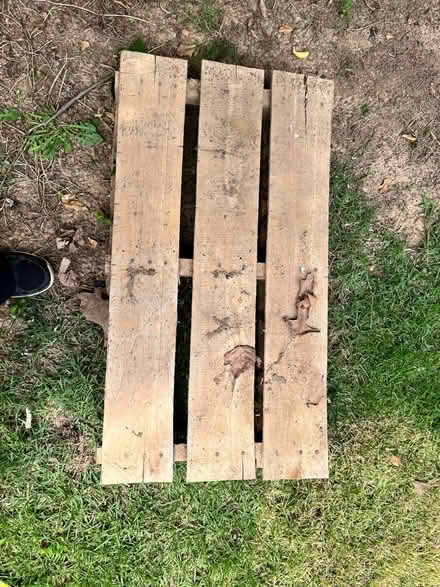 Photo of free Wood platform (Silver Spring) #2