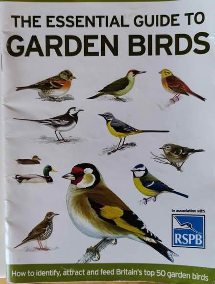 Photo of free Garden Birds (Bromley BR2) #1