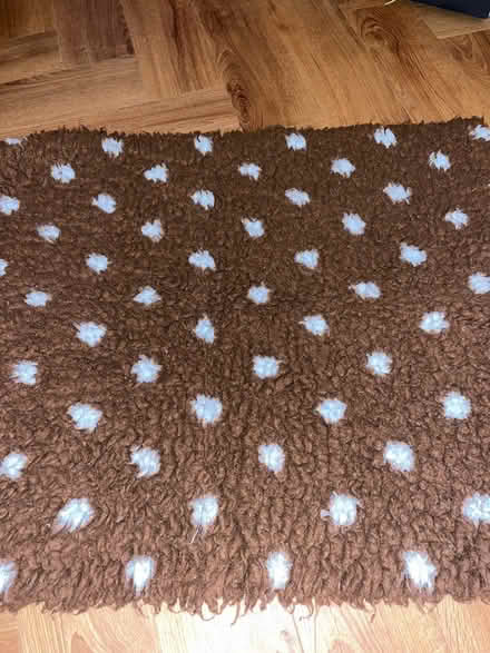 Photo of free Puppy rug (BA2) #1