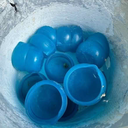Photo of free Dosingballs (Newhaven BN9) #1