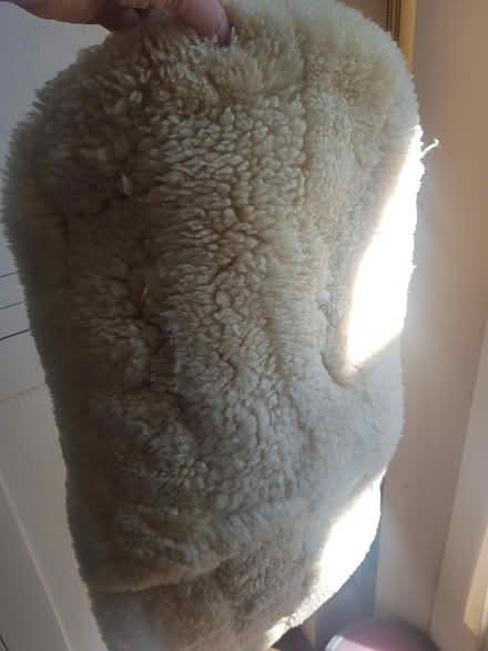 Photo of free Woolly pram liner (NW5 Grafton Terrace) #1
