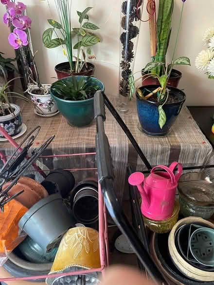 Photo of free Garden pots (Bloor & Islington Subway area) #1