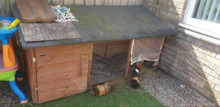 Photo of free Hutch and accessories (West Denton NE5) #1