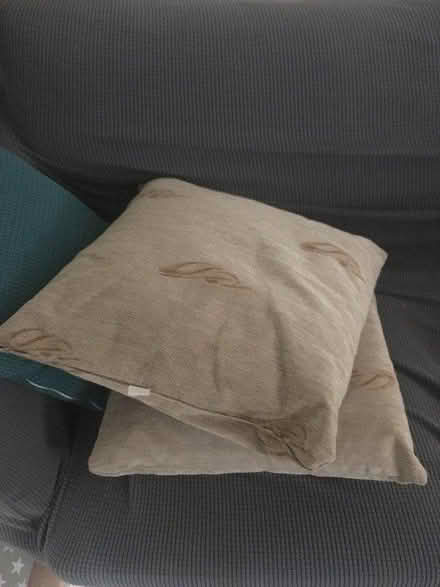 Photo of free Cushions (Redhill RH1) #1