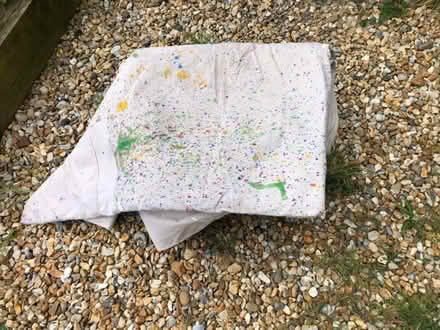 Photo of free 2 large dust sheets (Ancton BN18) #1