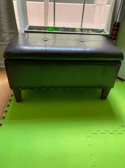 Photo of free Storage ottoman (Tampa - Rocky Point) #1