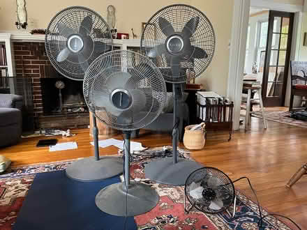 Photo of free 4 fans (Near Medford Square) #1