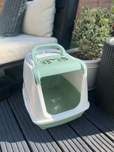 Photo of free Kitten / small cat litter box (Orpington BR6) #2