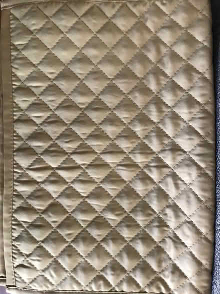 Photo of free Two Gold Fabric Placemats (West End of Watertown) #1