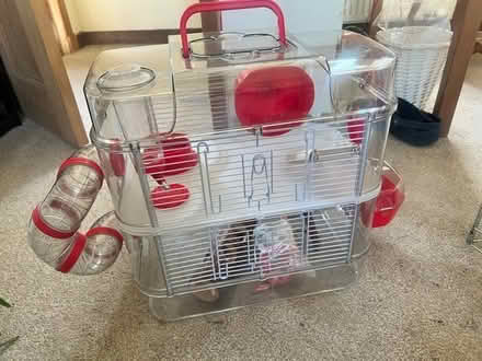 Photo of free Small Hamster Cage (Milngavie) #2
