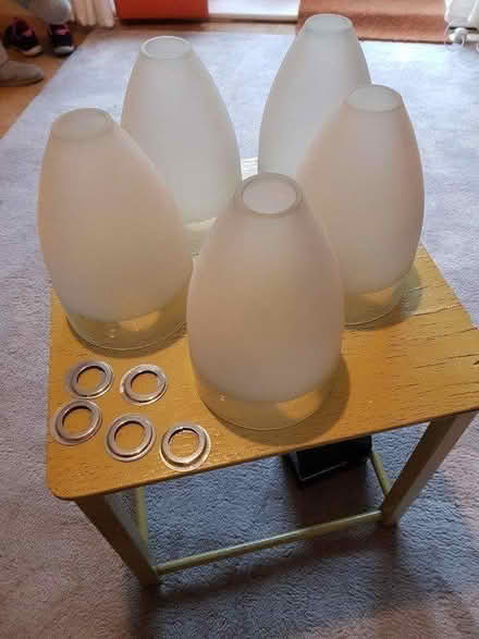 Photo of free Frosted glass lampshades (NE2 Jesmond) #1