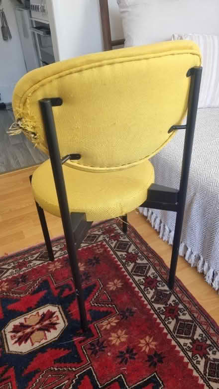 Photo of free Yellow dining chair (N16 Stoke Newington) #2