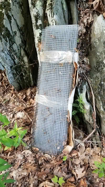 Photo of free Chicken wire (Hyde Park) #1