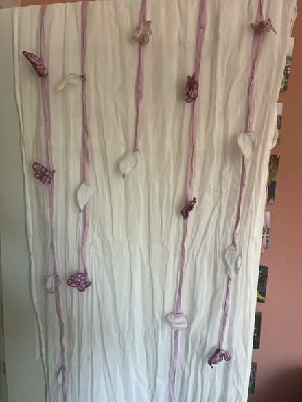 Photo of free Child’s bed canopy curtains (RH1) #1
