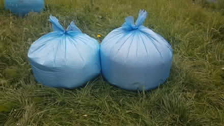 Photo of free Beans for filling (CO6 Great Tey) #1