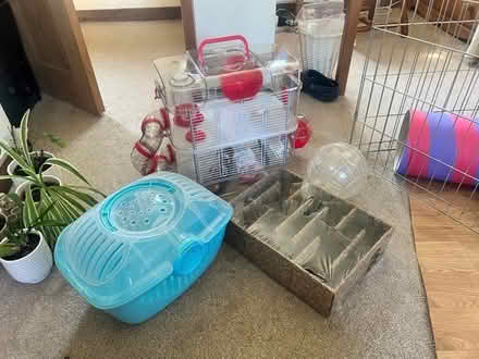 Photo of free Small Hamster Cage (Milngavie) #1