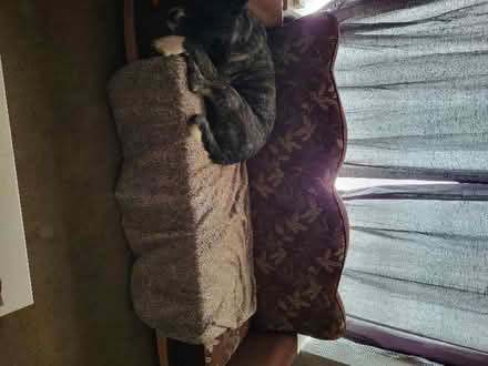 Photo of Settee (Greengates BD10) #1
