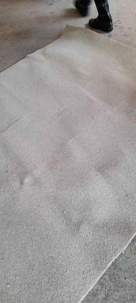 Photo of free New carpet off cut (Dodford B61) #1