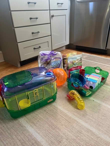 Photo of free Full Hamster Cage and setup (Havertown) #1