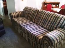 Photo of free couch (Lutz, LLF Road & Dalemabry) #1