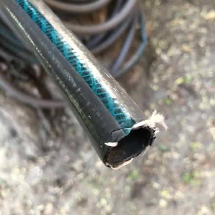 Photo of free Garden hose (Jane/Bloor) #2