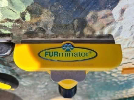 Photo of free Dog grooming tools (Rowhedge CO5) #3