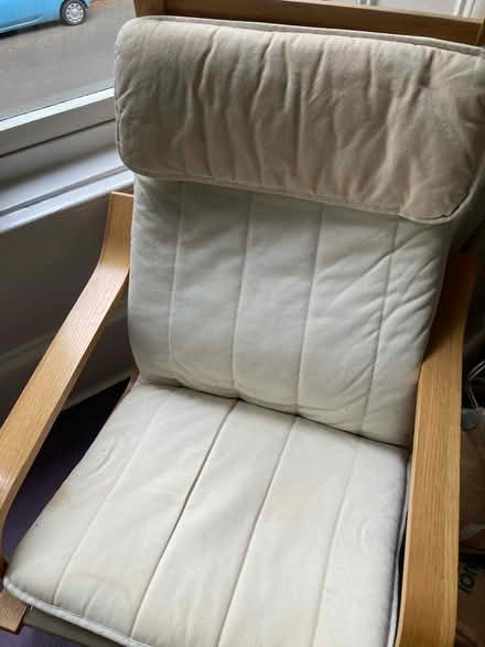 Photo of free Ikea poäng chair (G51 Cessnock) #2
