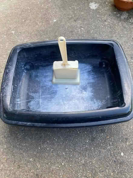 Photo of free Rimmed Large cat litter tray and scoop (Manningtree CO11) #1